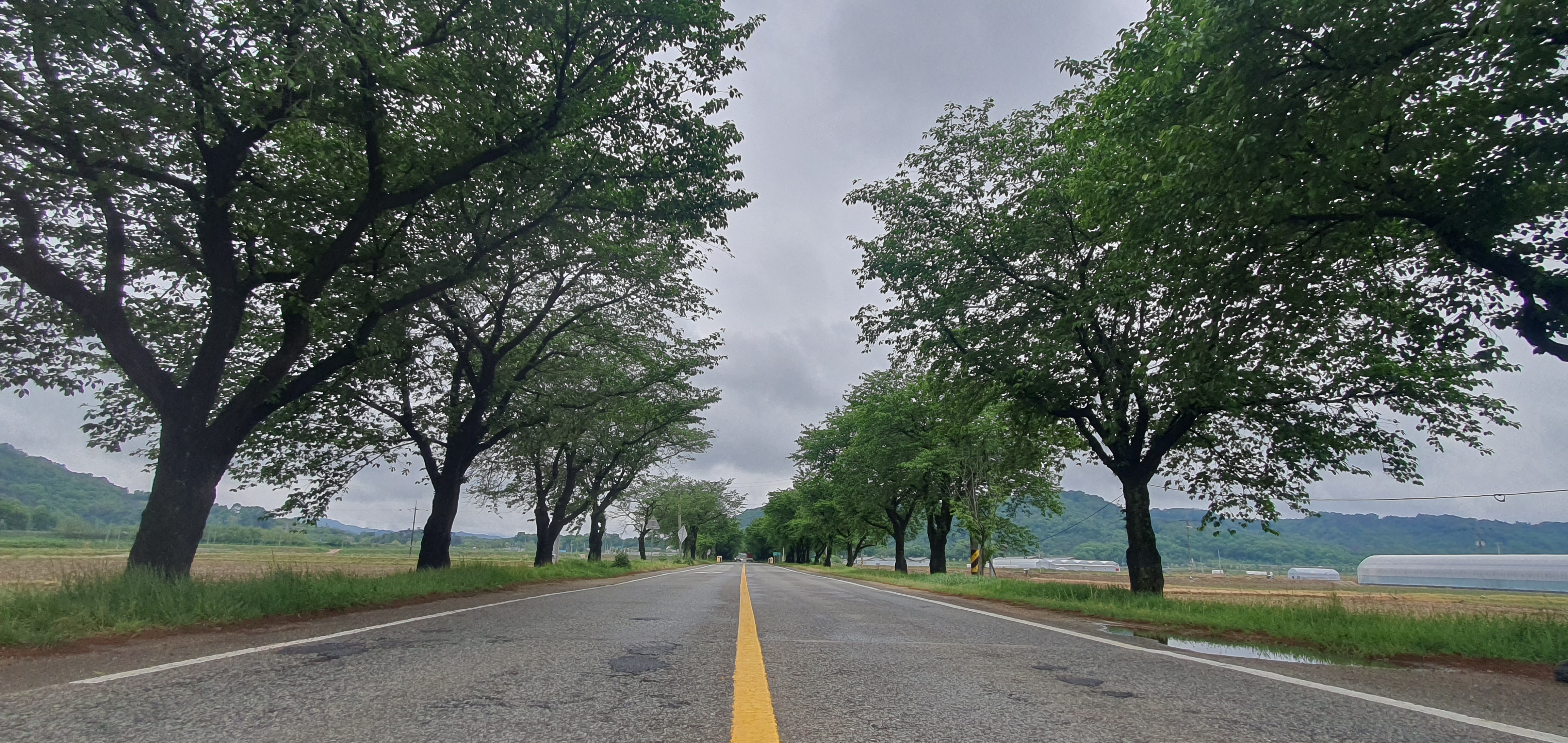 함창 봄